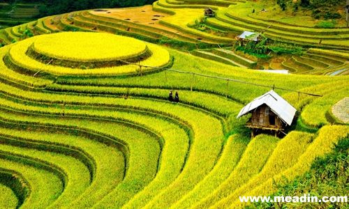 华西村人均收入_人均旅游次数(2)