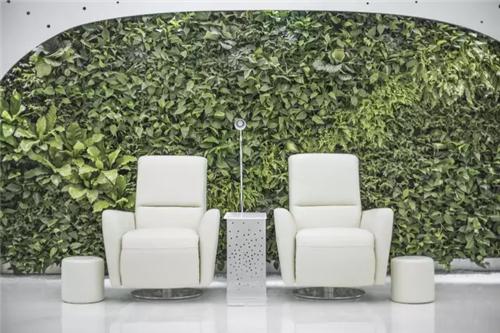 今夏 这四家店铺能让你感受清凉与诗意 - 服务