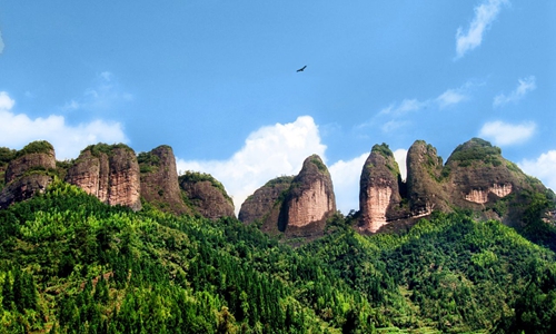 福建龙岩总人口多少_福建龙岩(3)